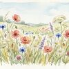 wildflowerex